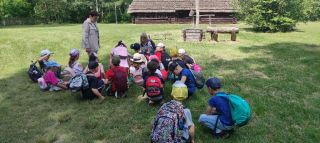 received_958195882050293_1024x460